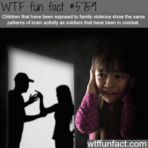 Family violence - WTF fun facts