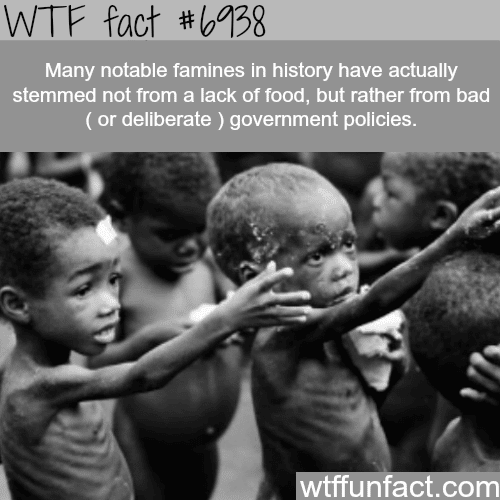 Famines - WTF fun fact