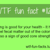 farting facts fart