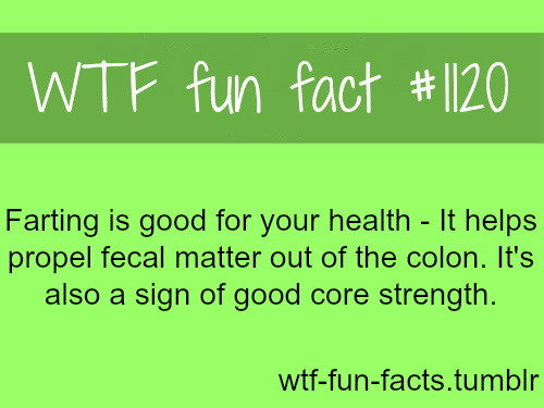 farting facts