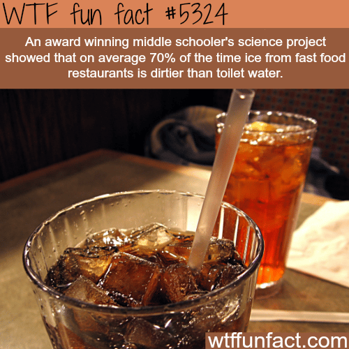 Fast food restaurants ice is dirtier than toilet water! - WTF fun facts