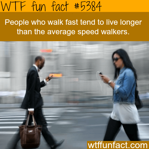 Fast walkers live longer - WTF fun facts
