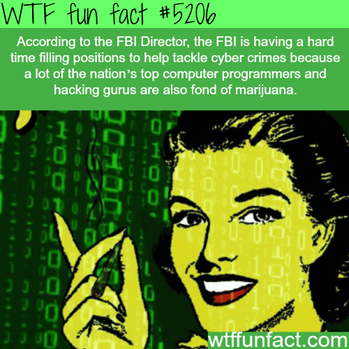 FBI is having hard time finding programmers - WTF fun facts