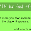 fear facts