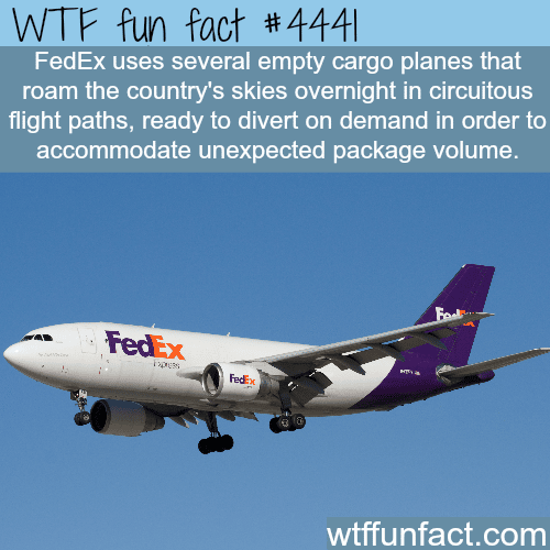 FedEx cargo airplanes -   WTF fun facts