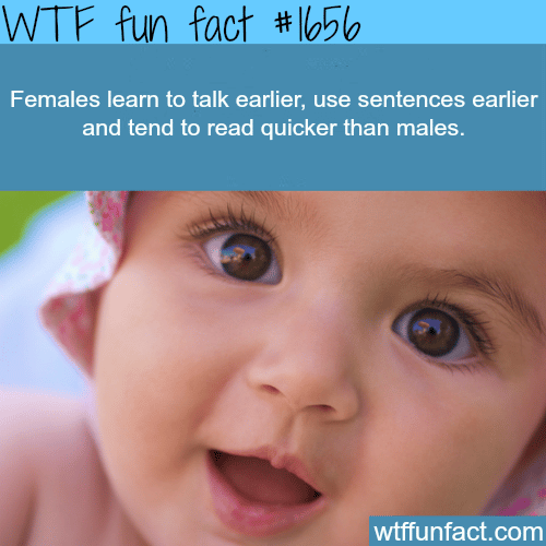 Females learn to talk faster - WTF fun facts