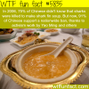 fewer people want shark fin soup wtf fun facts