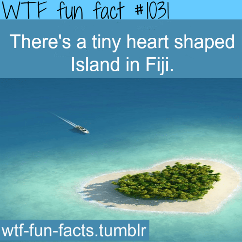 Fiji heart shaped island 