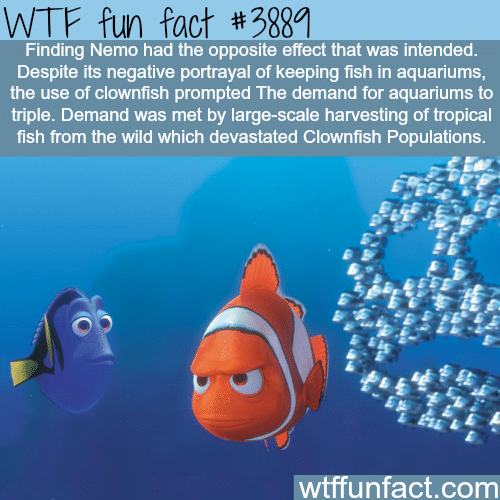 Finding Nemo devastated the Clownfish population - WTF fun facts
