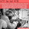 fire at their balls wtf fun facts