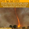 fire tornados in australia