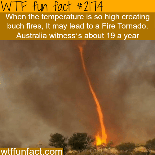 Fire tornados in Australia - WTF fun facts