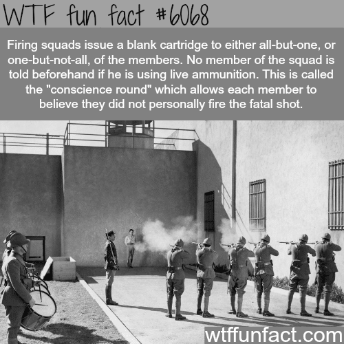 Firing Squads - WTF fun facts