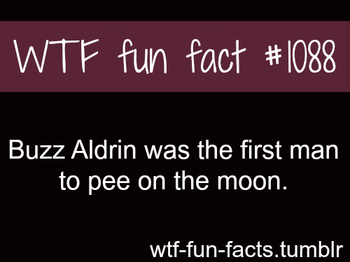 first man to pee on the moon - Buzz Aldrin
