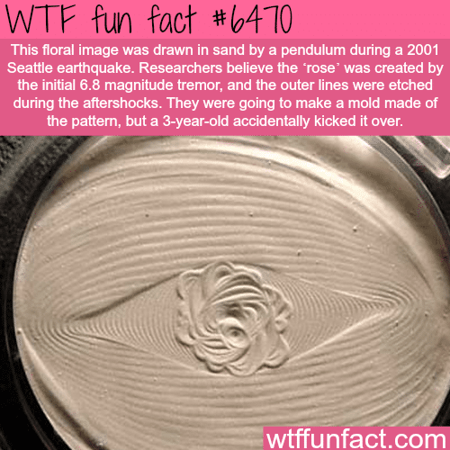 Floral image created by earthquake - WTF fun facts