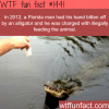 florida man get attacked by alligator