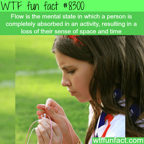 Flow - WTF fun facts