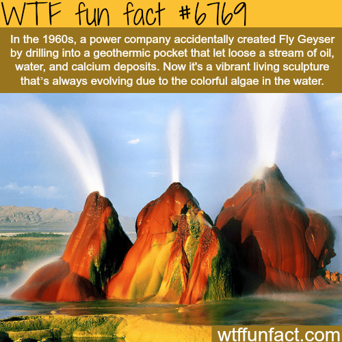 Fly Geyser - WTF fun facts 