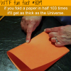 folding a paper in half wtf fun fact