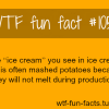 food facts