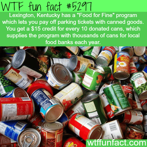 Food for Fines - WTF fun facts