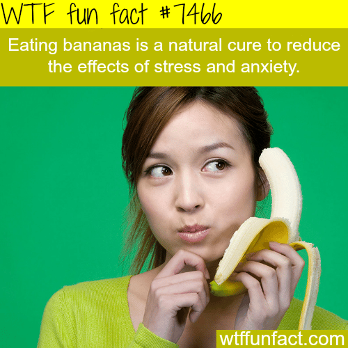 Foods that are known to reduce stress - FACTS