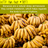 foods that help you sleep wtf fun facts