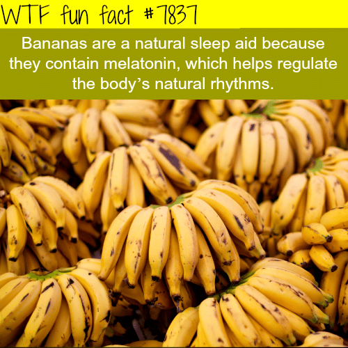Foods that help you sleep - WTF fun facts