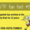 for more of wtf fun facts click