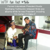 former indoneisan president susilo bambang