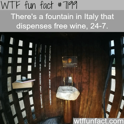 Fountain in Italy that dispenses free wine - WTF Fun Fact