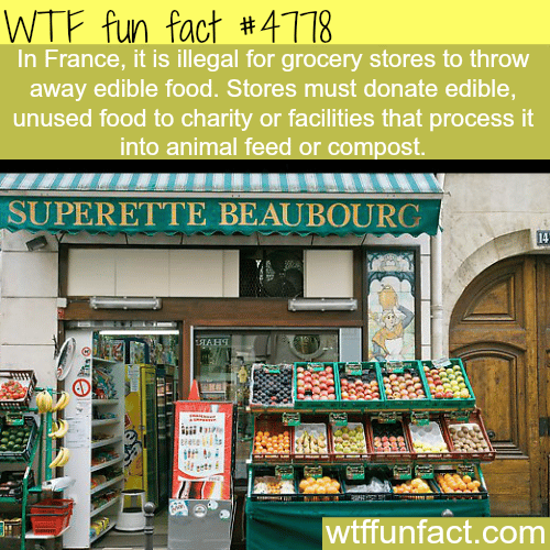 France food laws - WTF fun facts