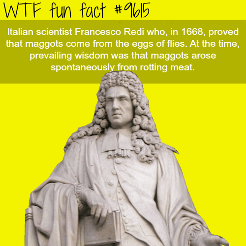 Francesco Redi - WTF fun fact