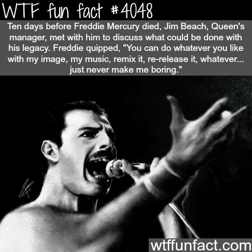Freddie Mercury - WTF fun facts
