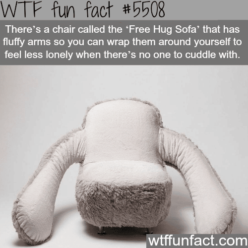 Free Hug Sofa - WTF fun facts