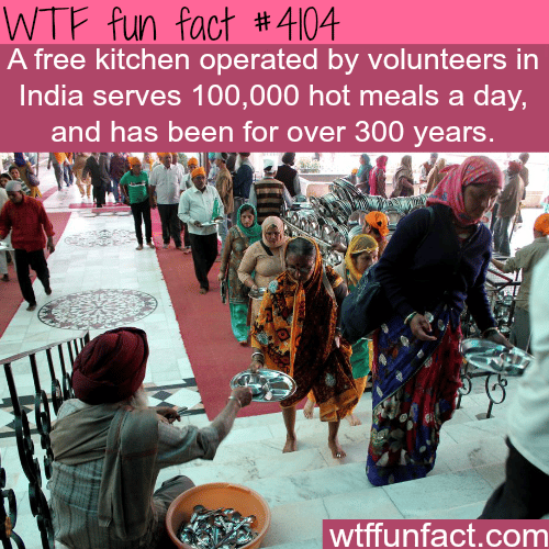 Free kitchen in India serves 100