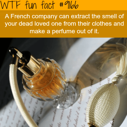 French Company will make a perfume that smells like your loved one - WTF Fun Facts