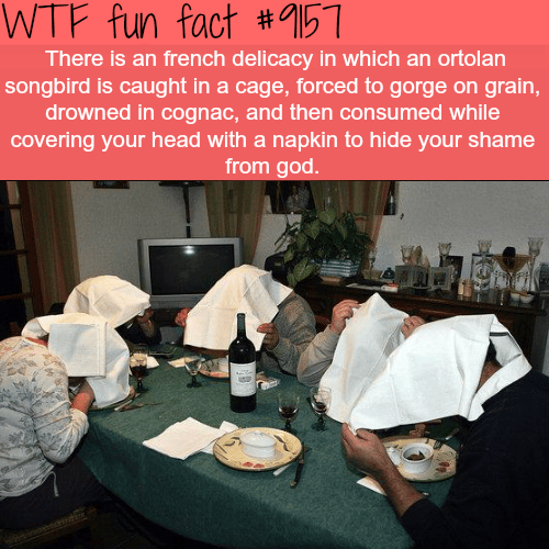 French Delicacy: Ortolan Songbird - WTF Fun Facts