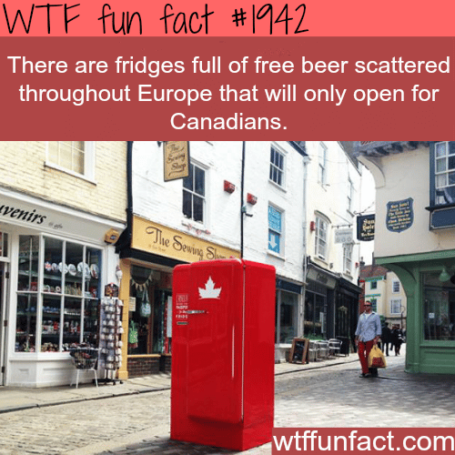 Fridges full of beer for Canadians - WTF fun facts