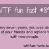 friends facts