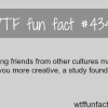 friends from other cultures wtf fun facts