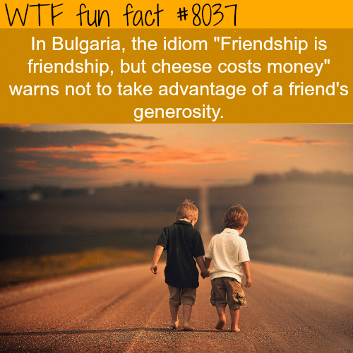 Friendship quotes - WTF fun fact