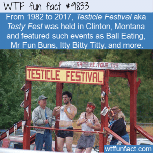 testicle festival testy