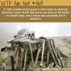frozen lake full of skeletons wtf fun facts