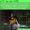 fuck the alligator wtf fun facts
