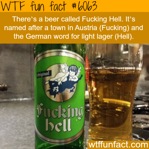 Fucking Hell beer - WTF fun facts
