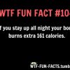 funny facts