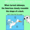 funny facts facts facts