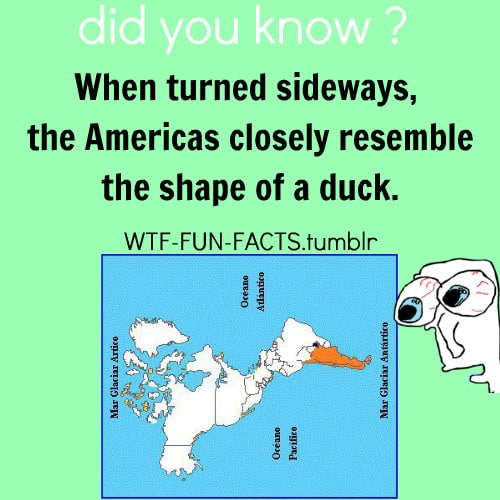 MORE OF WTF-FUN-FACTS here