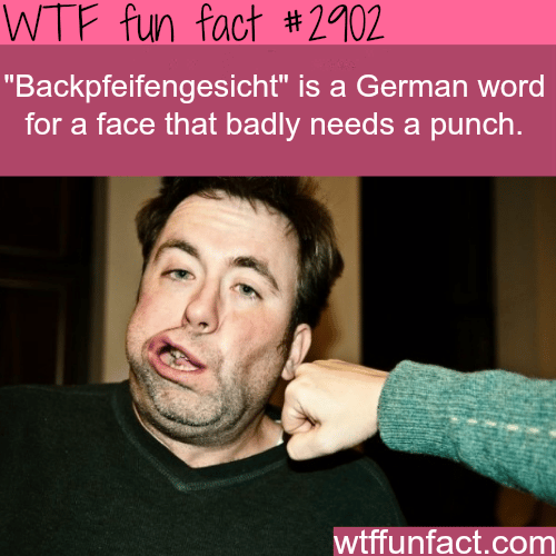 Funny German Words -  WTF fun facts